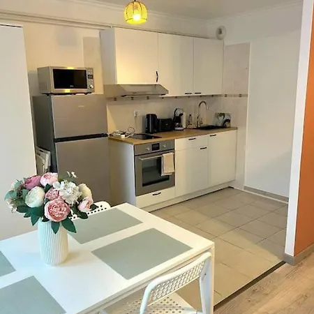 Apartment Grand Studio Proche Centre Strasbourg
