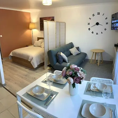 Grand Studio Proche Centre * Strasbourg