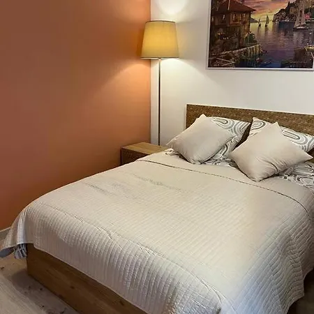 Grand Studio Proche Centre Apartment Strasbourg